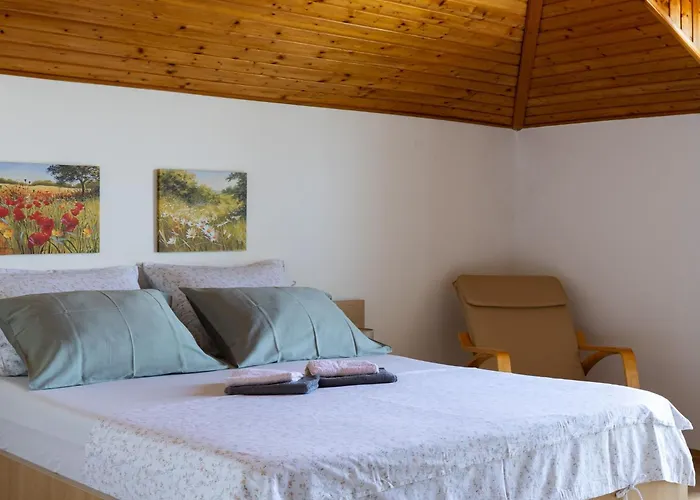 Source With Private Pool Villa Pridvorje