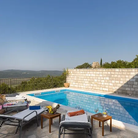 Source With Private Pool Pridvorje